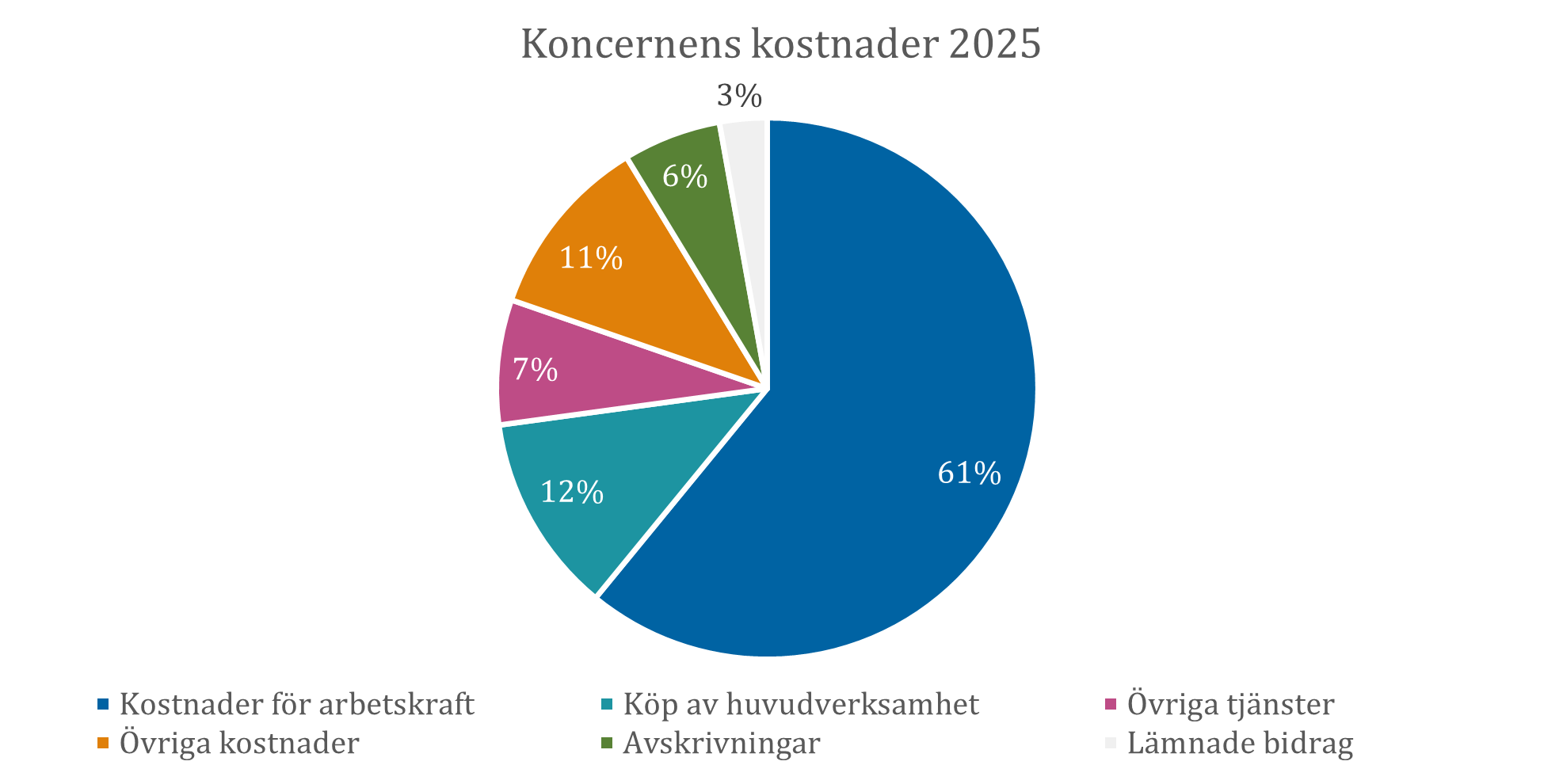 Koncernens kostnader  2025