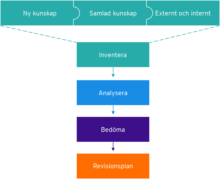 Arbeta med revisionsplan