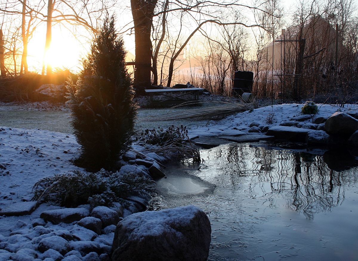 Vinterbild på en trädgård